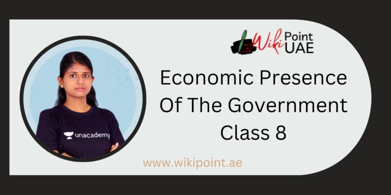 economic presence of the government class 8