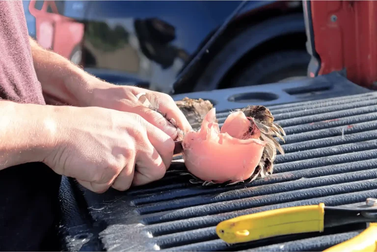 طريقة تنظيف الدجاج بالطحين