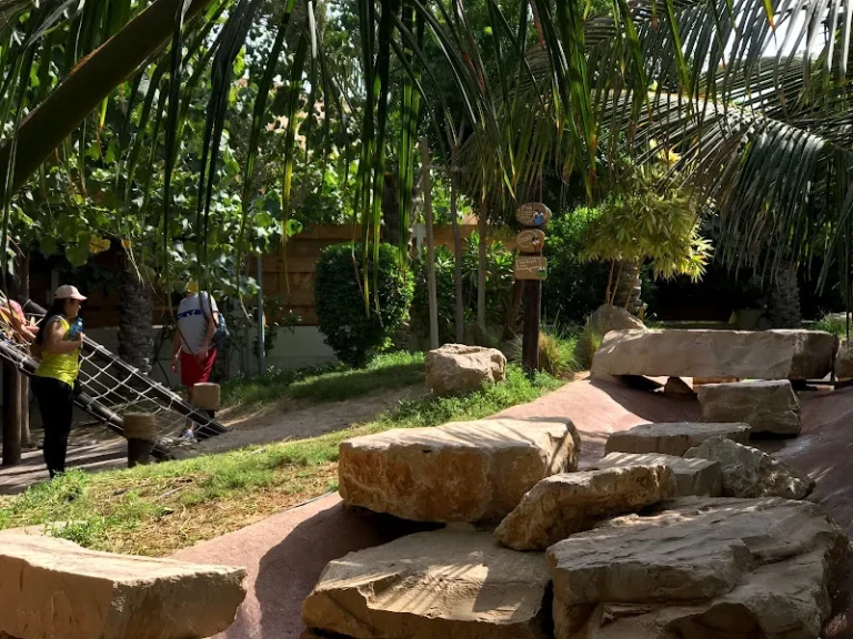 miss act uae business listing