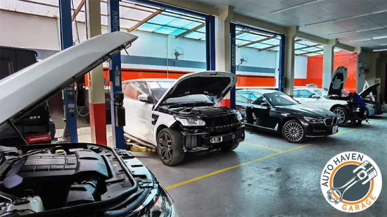 miss act uae business listing