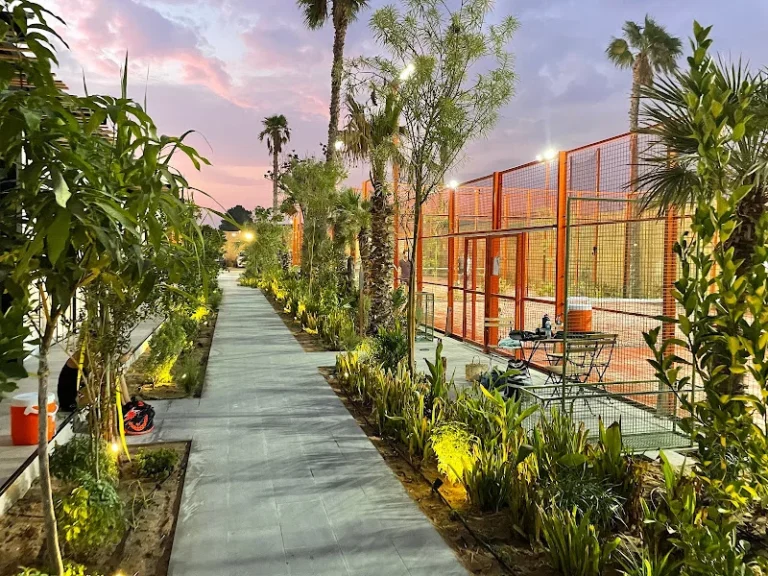 miss act uae business listing