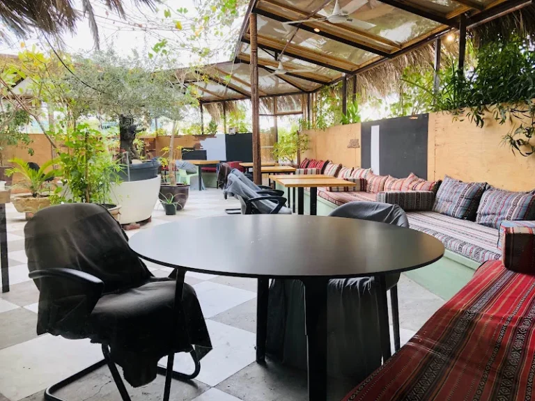 miss act uae business listing