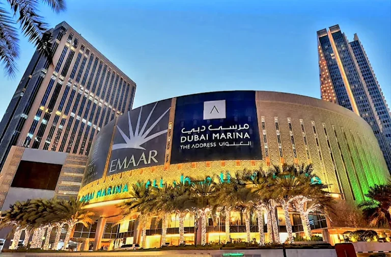 miss act uae business listing