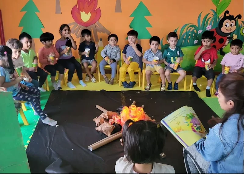 miss act uae business listing