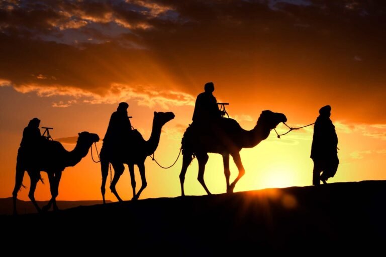 Cultural Significance of Camels in the UAE: A Journey Through History