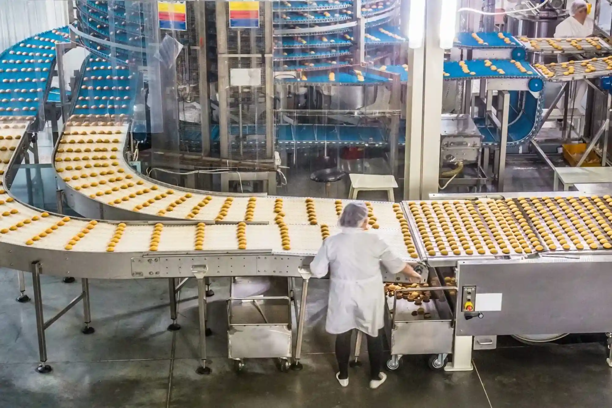 Expert-Tips-for-Finding-Top-Rated-Food-Packaging-Companies-in-Dubai