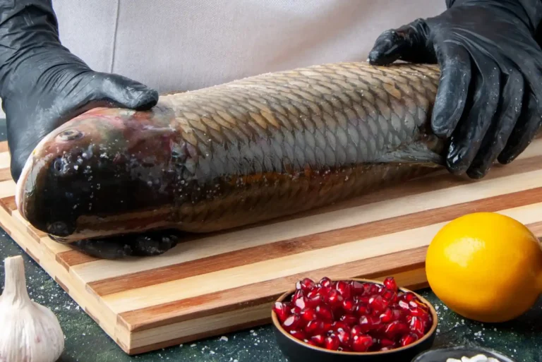 Quick Tips for Choosing Fresh King Fish in Dubai Today