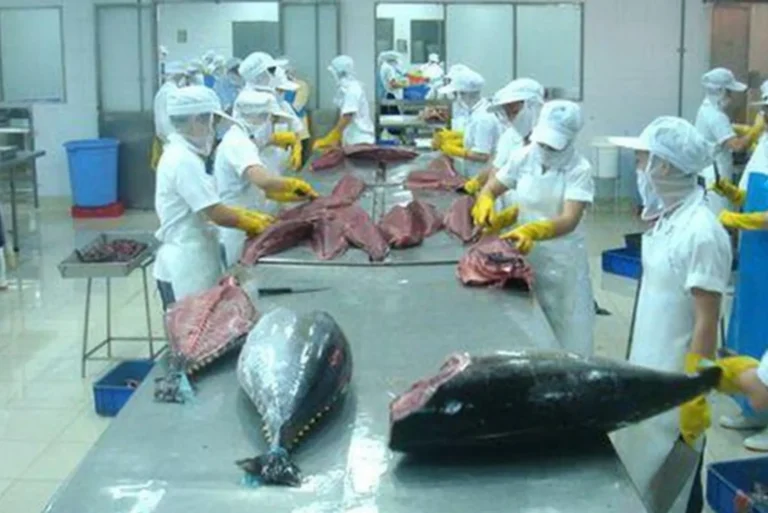 Quick Tips for Tuna Fish Shopping Online United Dubai