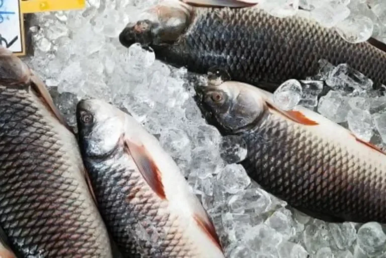 Ultimate Guide to Rohu Fish Nutrition and Health Benefits