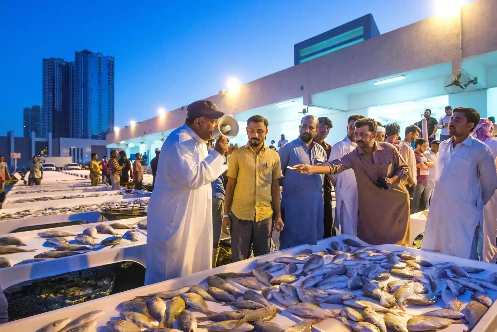 What You Should Know Before Visiting Ajman Fish Market