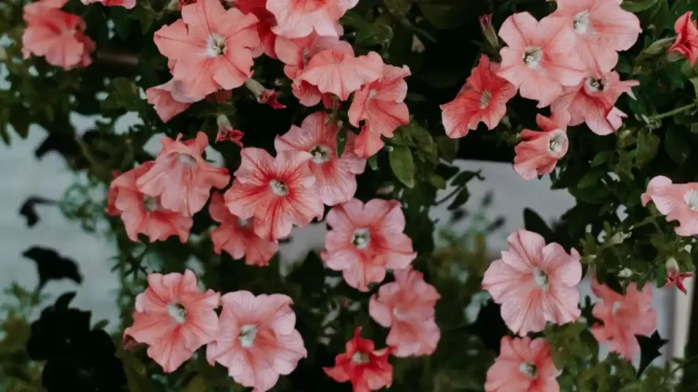 Online Floristry How Digital Platforms Are Changing Floral Shopping